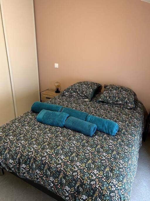 Le Cosy Grenier De Pauline Et Flo Cessenon-sur-Orb Exterior foto